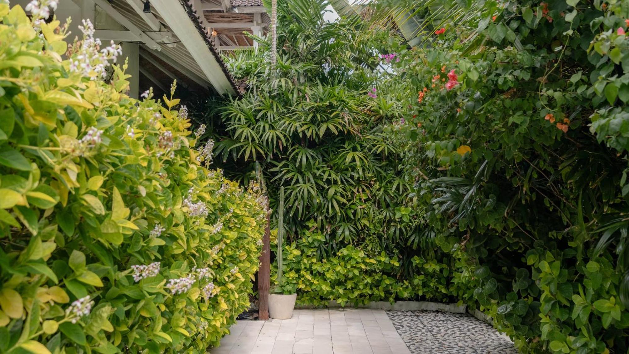 Ocean Luxury Villas Seminyak Eksteriør billede